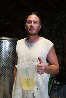 画像2: コフォロベ （赤ワイン　フランス　コート・デュ・ローヌ　グレゴリー・ギョーム　750ml） (2)
