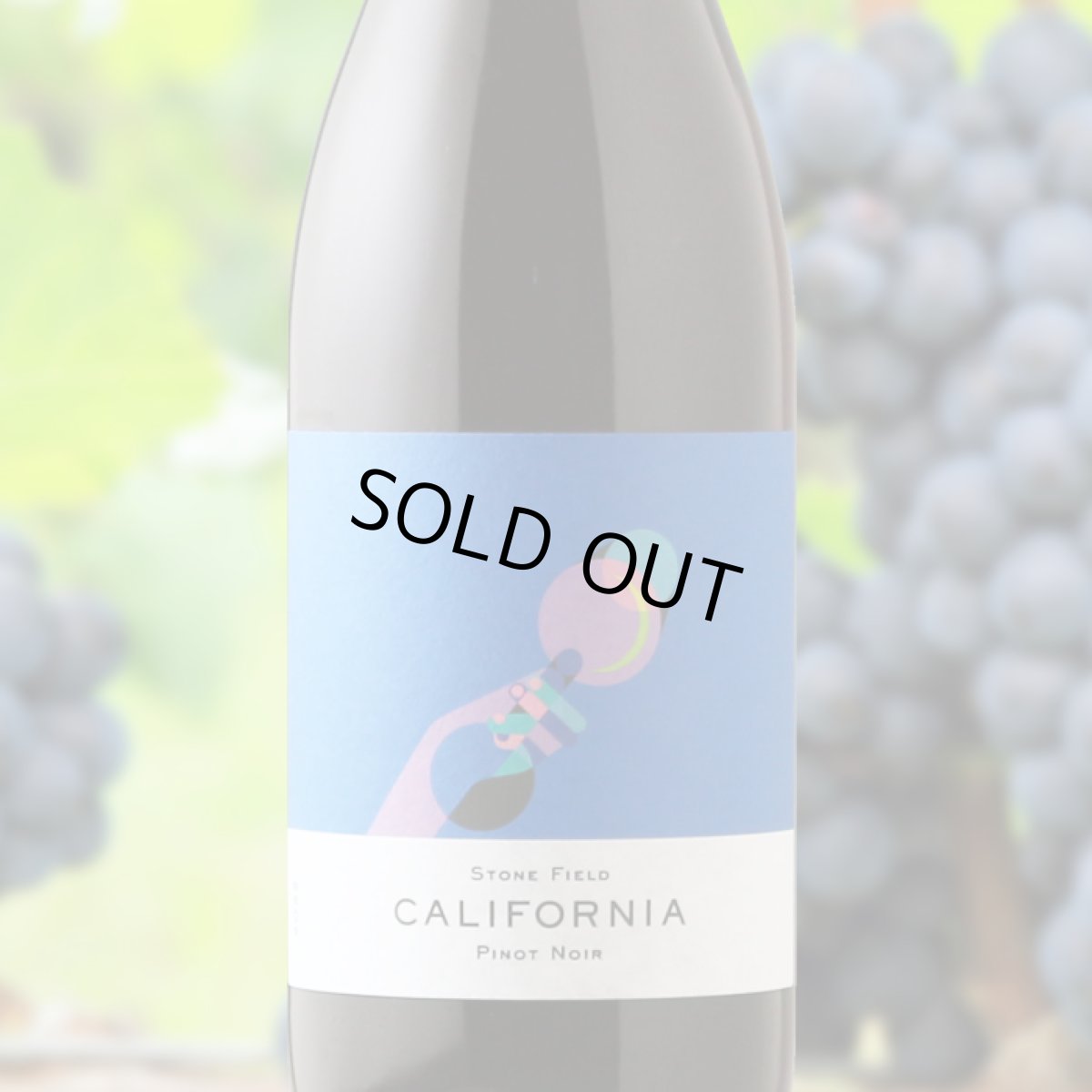 画像1: カリフォルニア・ピノ・ノワール（赤ワイン アメリカ カリフォルニア　ストーン・フィールド） (1)