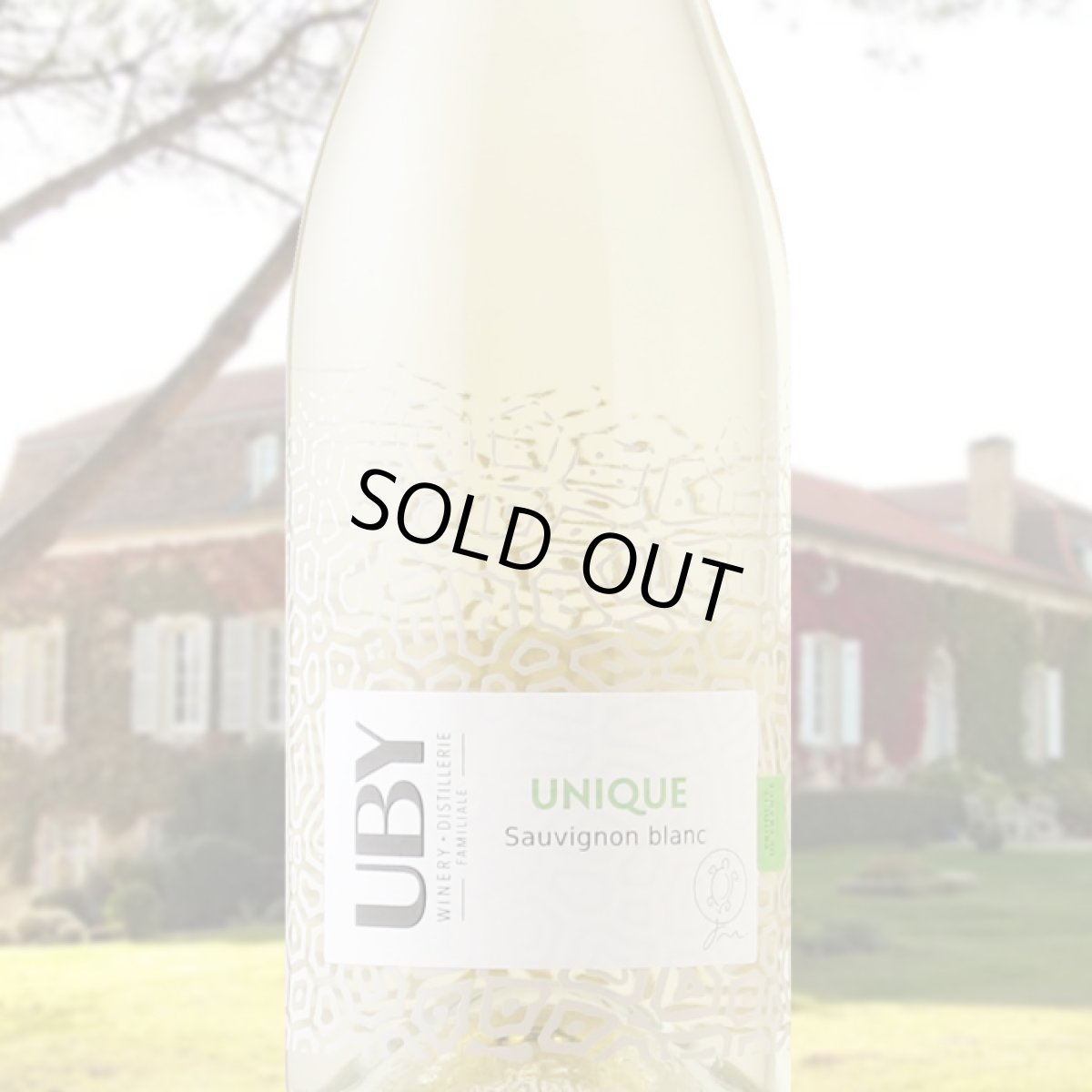 画像1: ドメーヌ・ユービー ユニーク・ソーヴィニヨン・ブラン（白ワイン フランス 南西地方　ユービー） (1)
