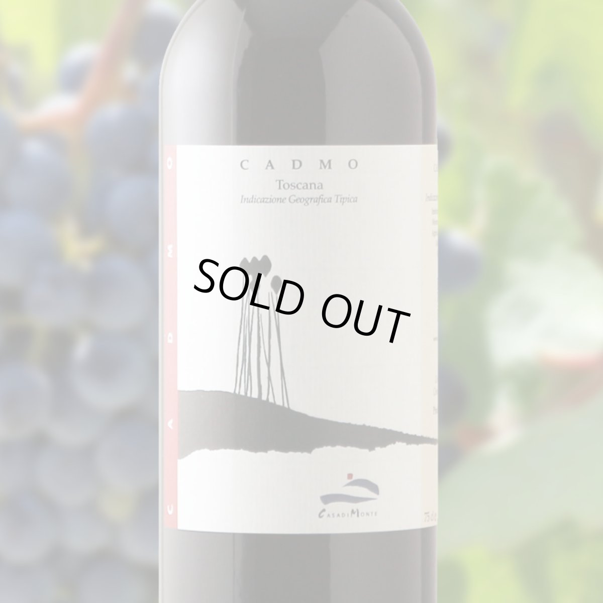 画像1: カドモ（赤ワイン イタリア トスカーナ　カーザ・ディ・モンテ） (1)