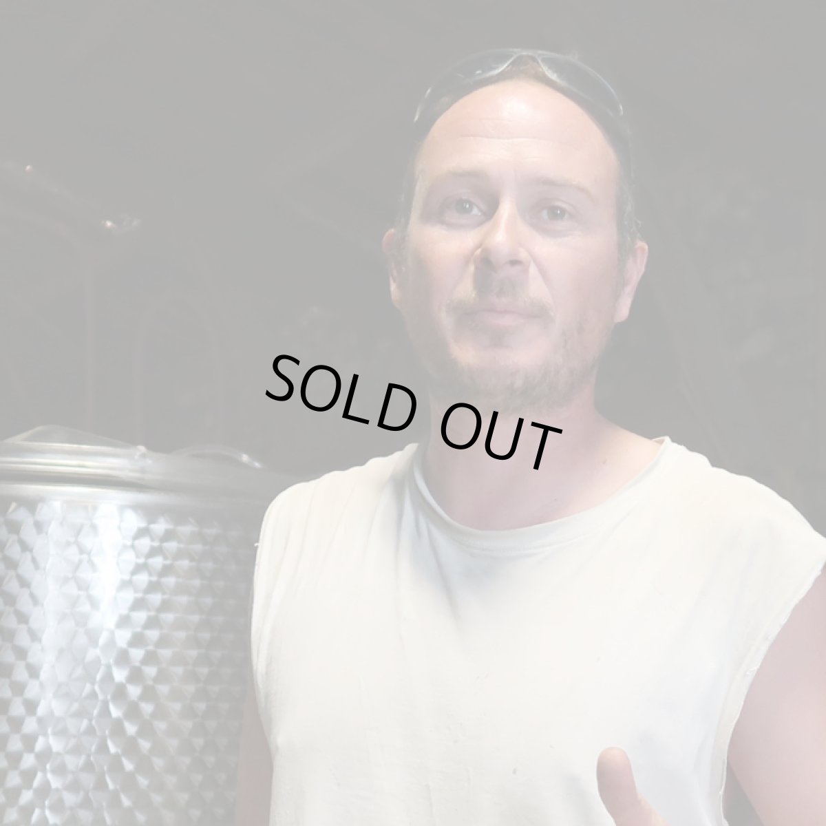 画像4: レクサントリック(赤ワイン フランス コート・デュ・ローヌ グレゴリー・ギョーム) (4)