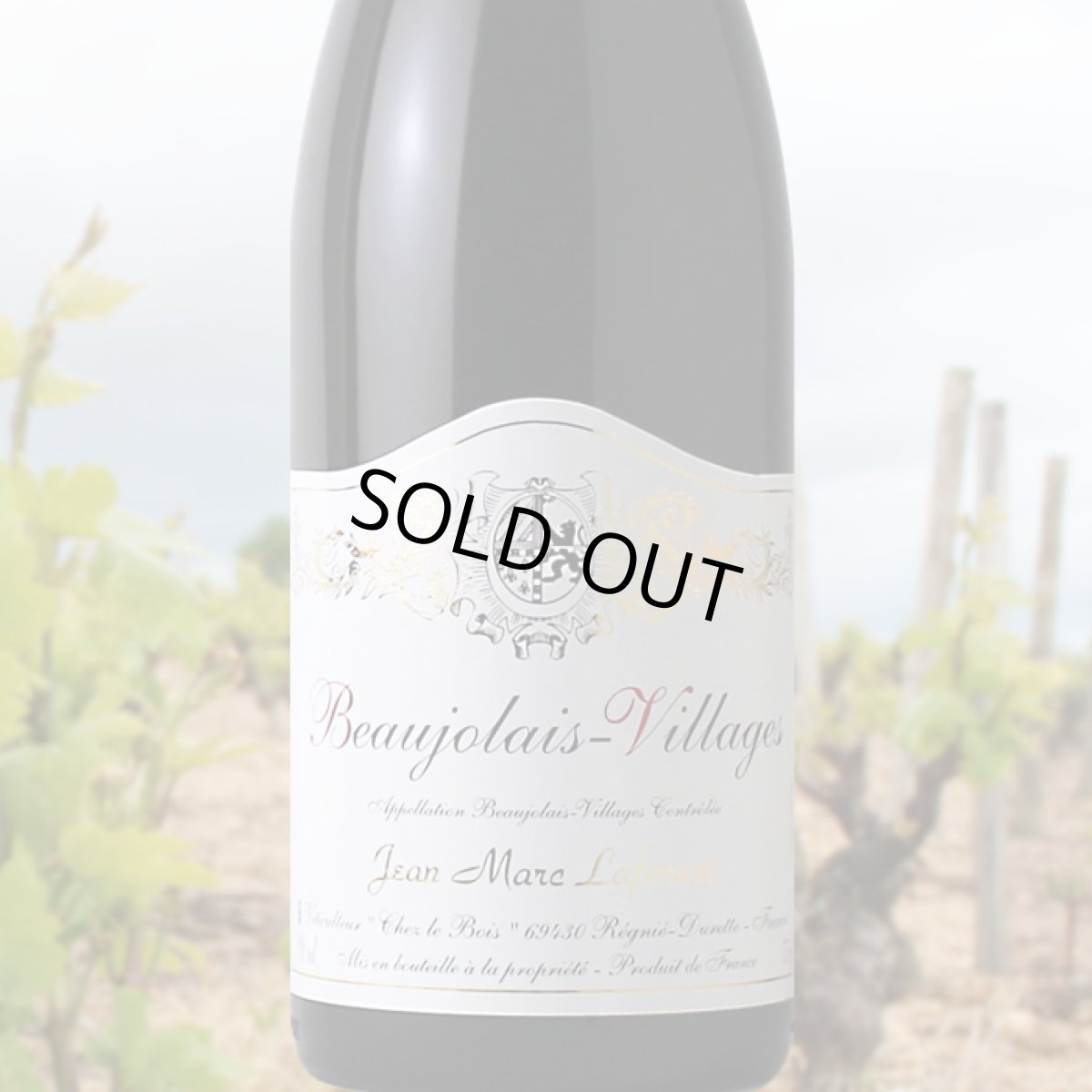 画像1: ラフォレ ボージョレー ヴィラージュ （赤ワイン フランス ブルゴーニュ　ドメーヌ ラフォレ） (1)