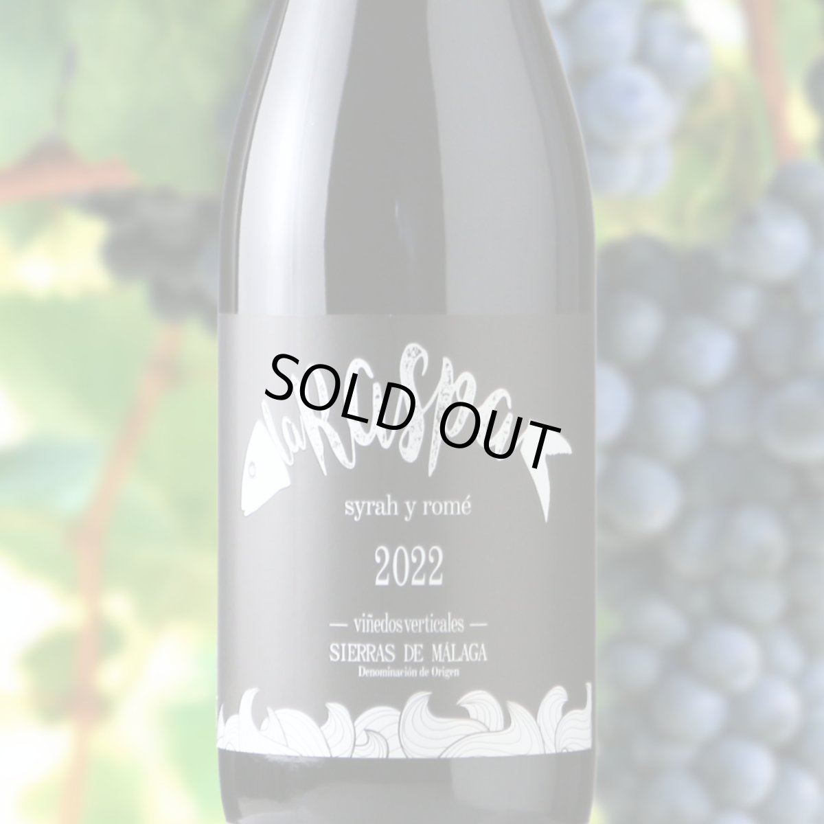 画像1: ラ・ラスパ・ティント（赤ワイン スペイン マラガ　ビニェドス・ベルティカレス） (1)