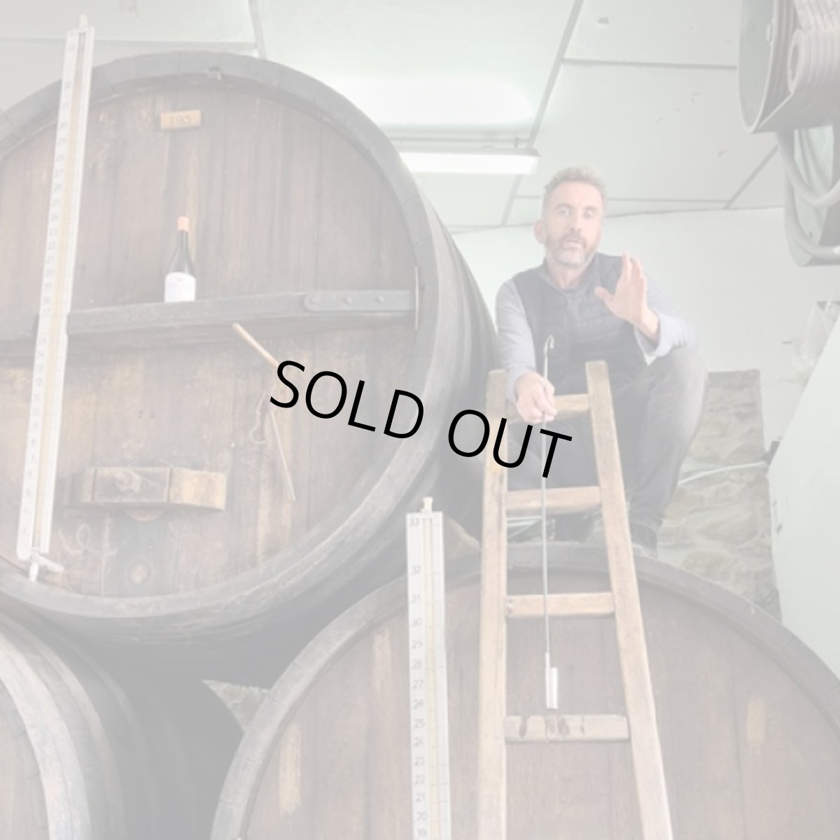 画像3: ラ・ラスパ・ティント（赤ワイン スペイン マラガ　ビニェドス・ベルティカレス） (3)