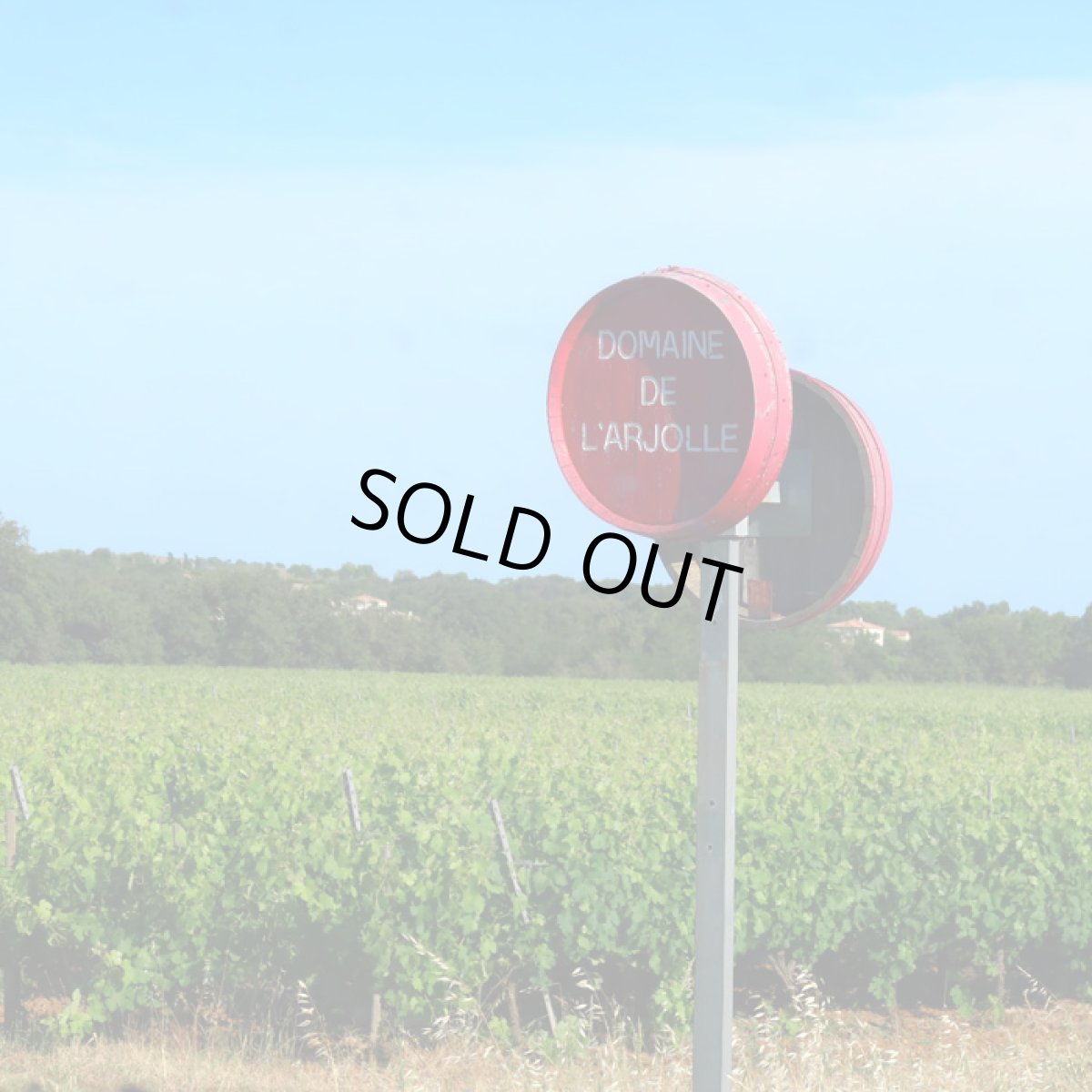 画像5: ラルジョル エキリーブル  シラー （赤ワイン フランス ラングドック） (5)