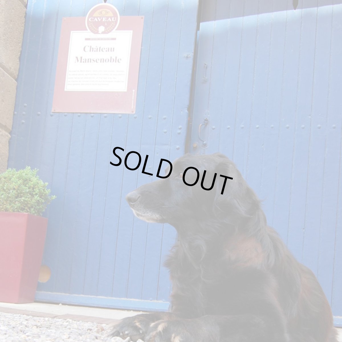 画像3: マンスノーブル ・レゼルヴ・ルージュ （赤ワイン フランス ラングドック） (3)