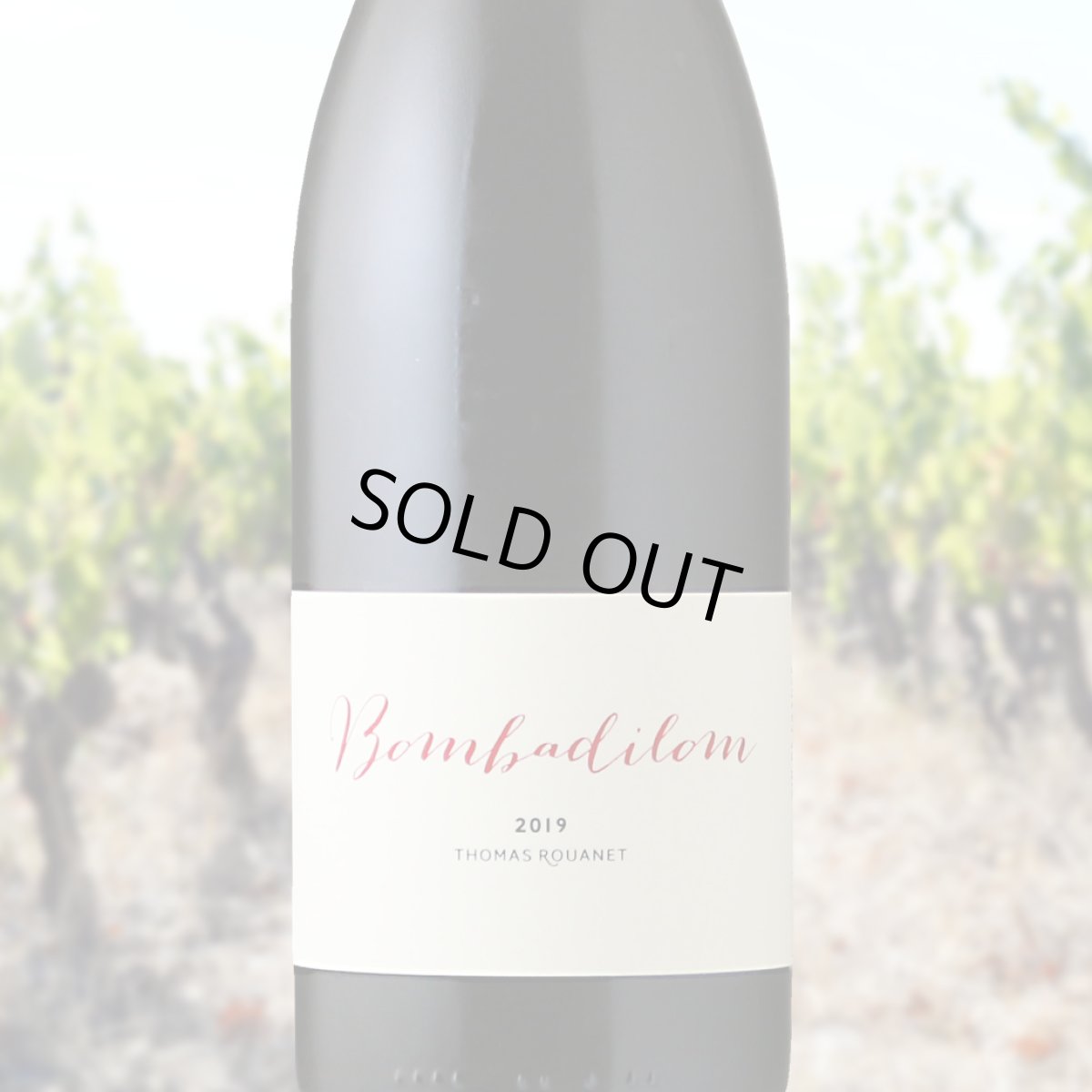 画像1: トマ・ルアネ ポンバディロン（赤ワイン フランス ラングドッグ） (1)