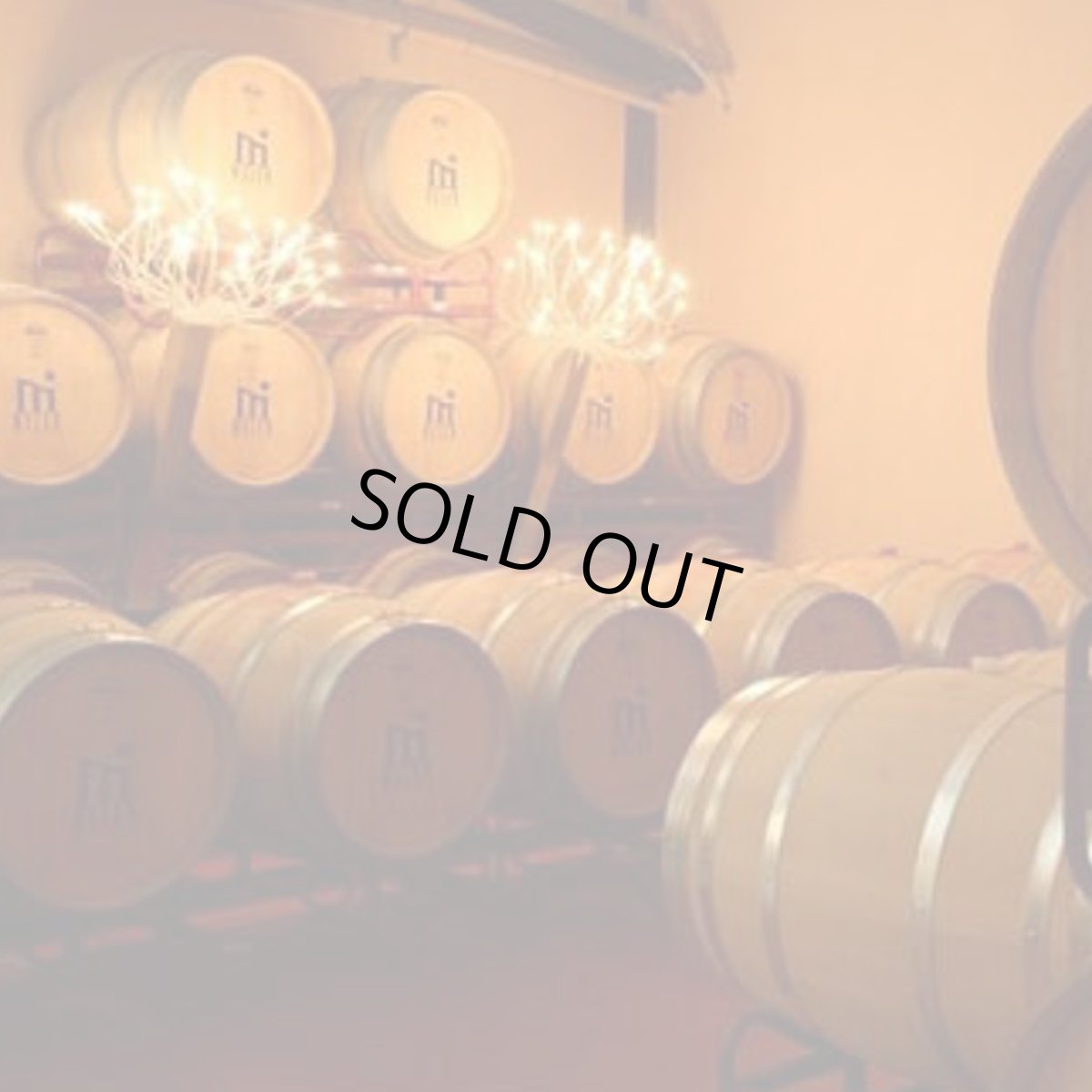 画像3: メレール・シラー(赤ワイン スペイン  ソモンターノ) (3)