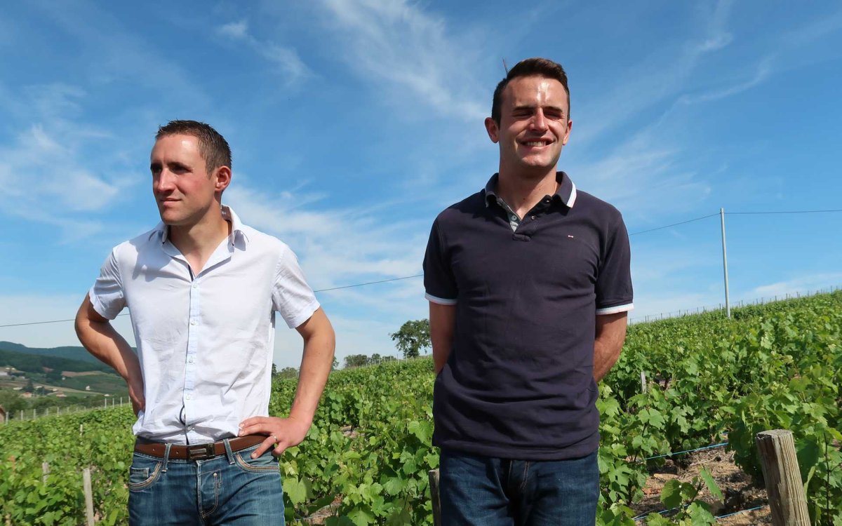 画像8: ラフォレ ブルイィ キュヴェ プレスティージュ （赤ワイン フランス ブルゴーニュ　ドメーヌ ラフォレ） (8)