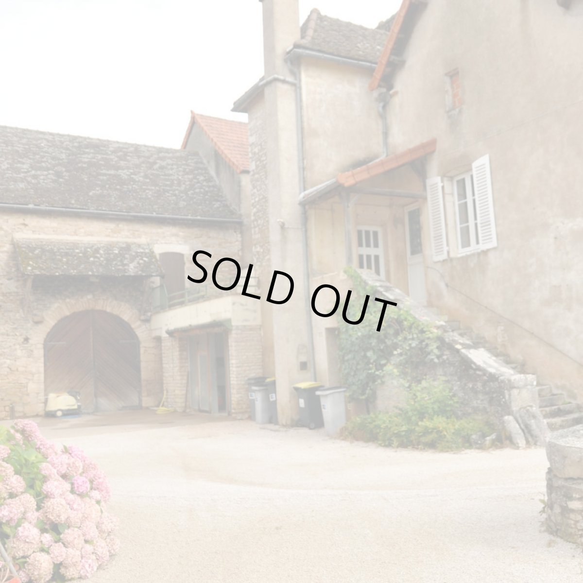 画像4: パトリック ギュイユ ブルゴーニュ ルージュ(赤ワイン フランス ブルゴーニュ パトリック ギュイユ) (4)