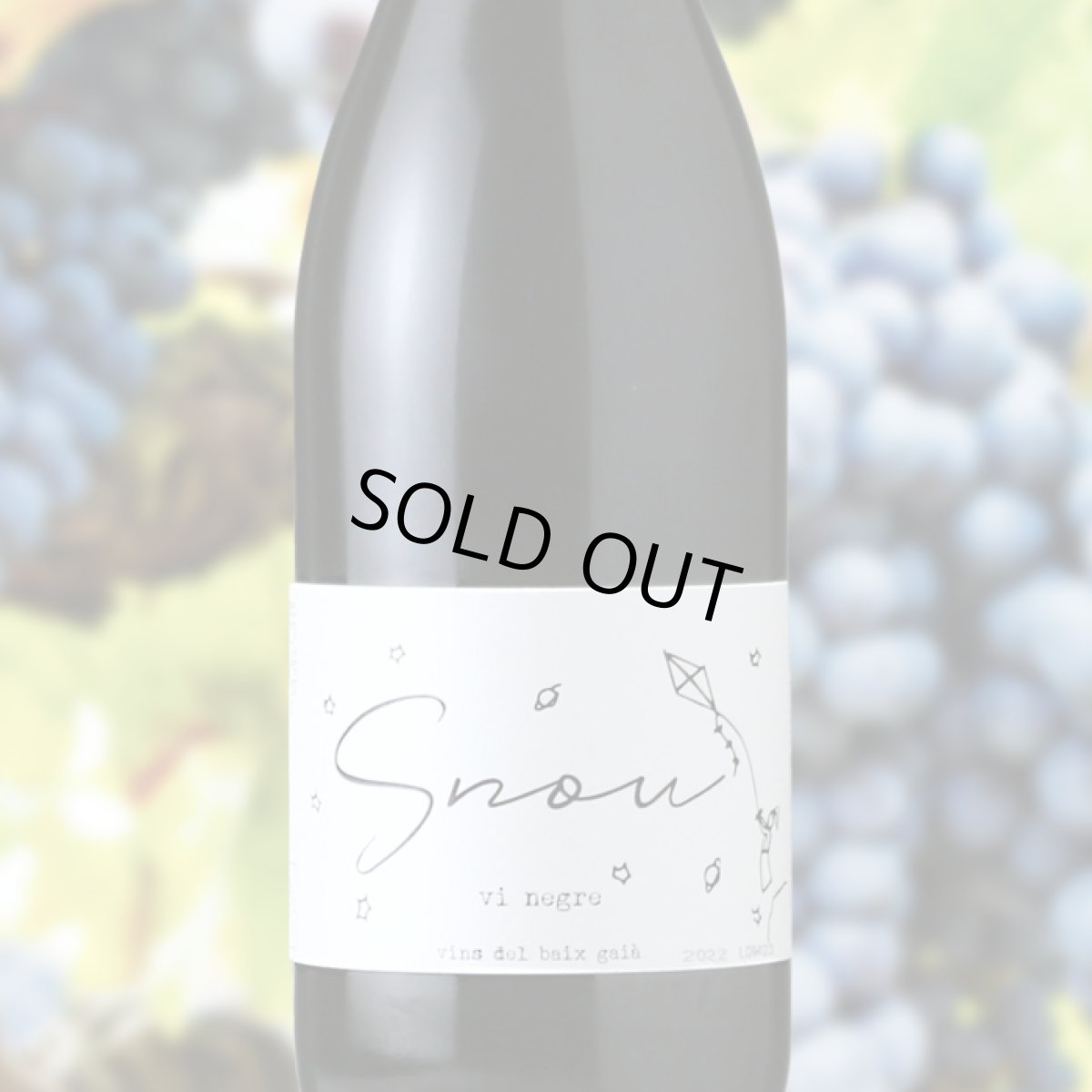 画像1: エスノウ ネグレ（赤ワイン スペイン  セイエル・ノウ・メス） (1)