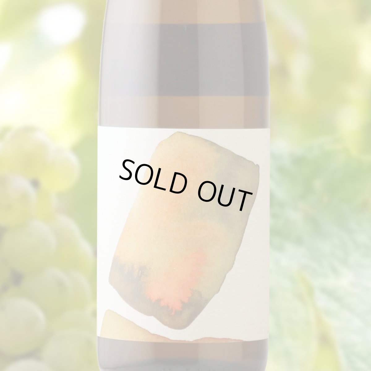 画像1: グルンステイン・リースリング（白ワイン オーストリア　ニビル） (1)