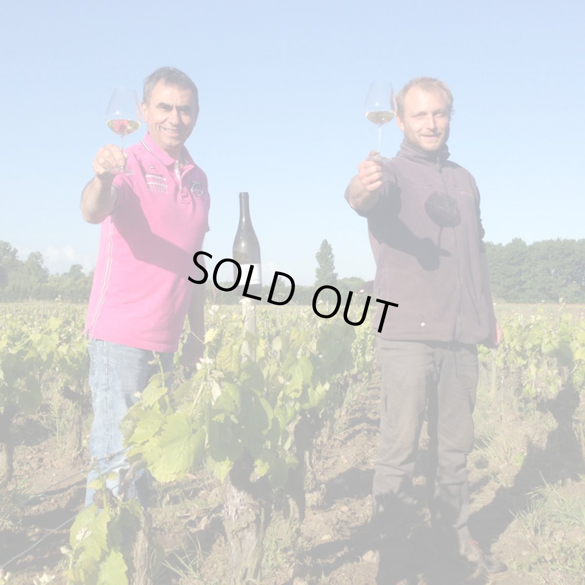 画像3: キュヴェ デ ザミ (白ワイン フランス ロワール  ドメーヌ ド ラ セネシャリエール) (3)