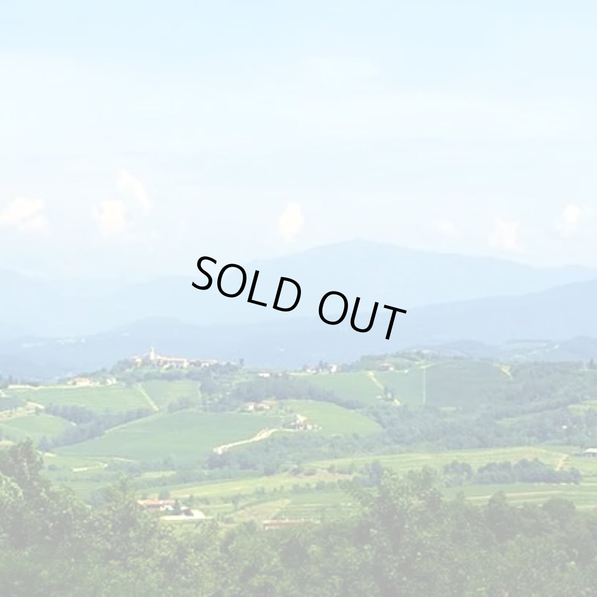 画像3: ネコティウム・ピノ・グリージョ（白ワイン イタリア フリウリ・ヴェネツィア・ジュリア） (3)