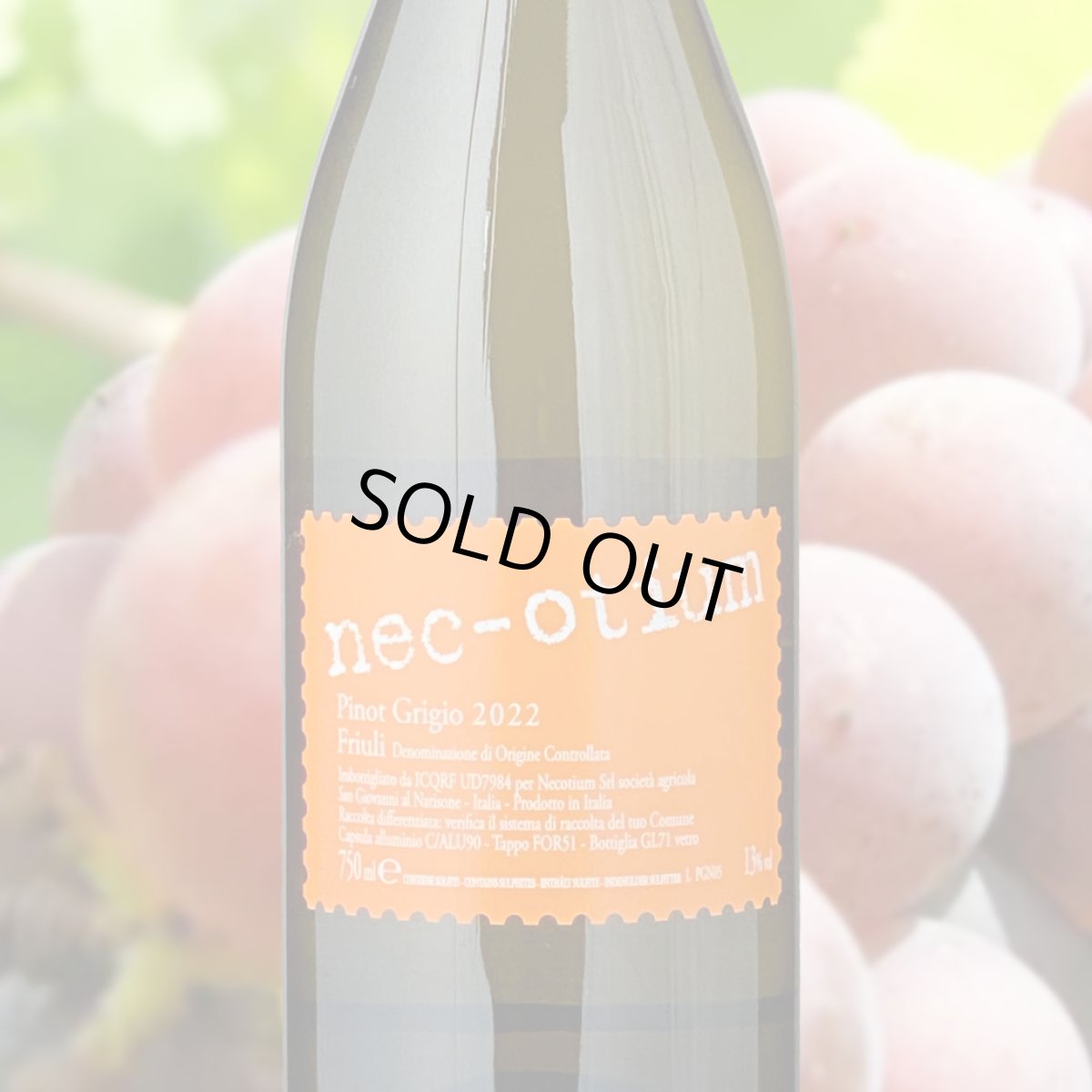 画像1: ネコティウム・ピノ・グリージョ（白ワイン イタリア フリウリ・ヴェネツィア・ジュリア） (1)