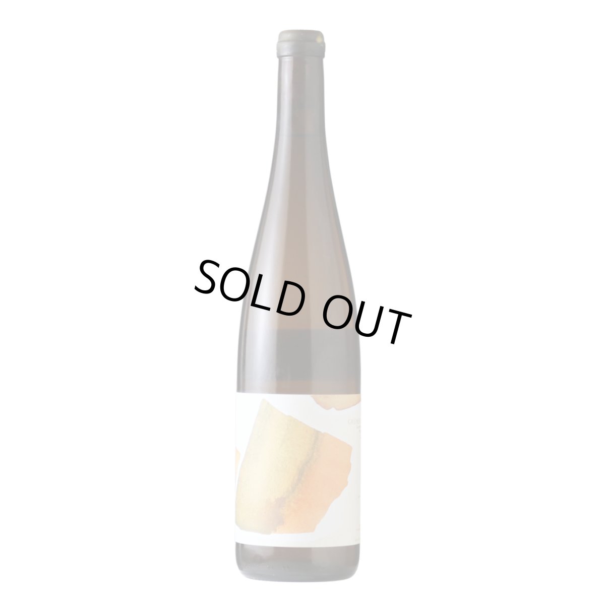 画像2: ピッコロ （白ワイン チェコ　スミュスカ） (2)