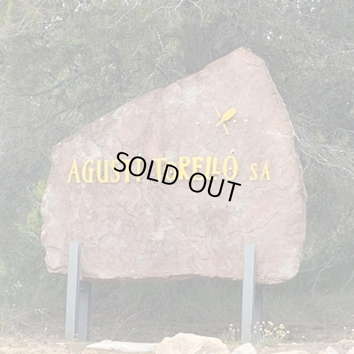 画像4: チック(白ワイン スペイン  アグスティ・トレーリョ) (4)