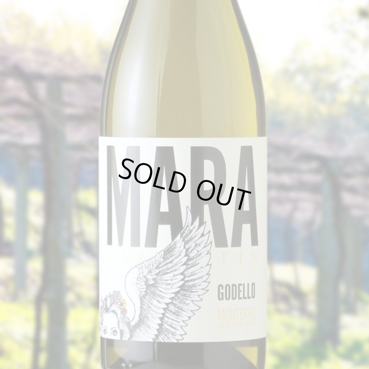 画像1: マラ マルティン（白ワイン スペイン  ボデーガス・マルティン・コダックス） (1)