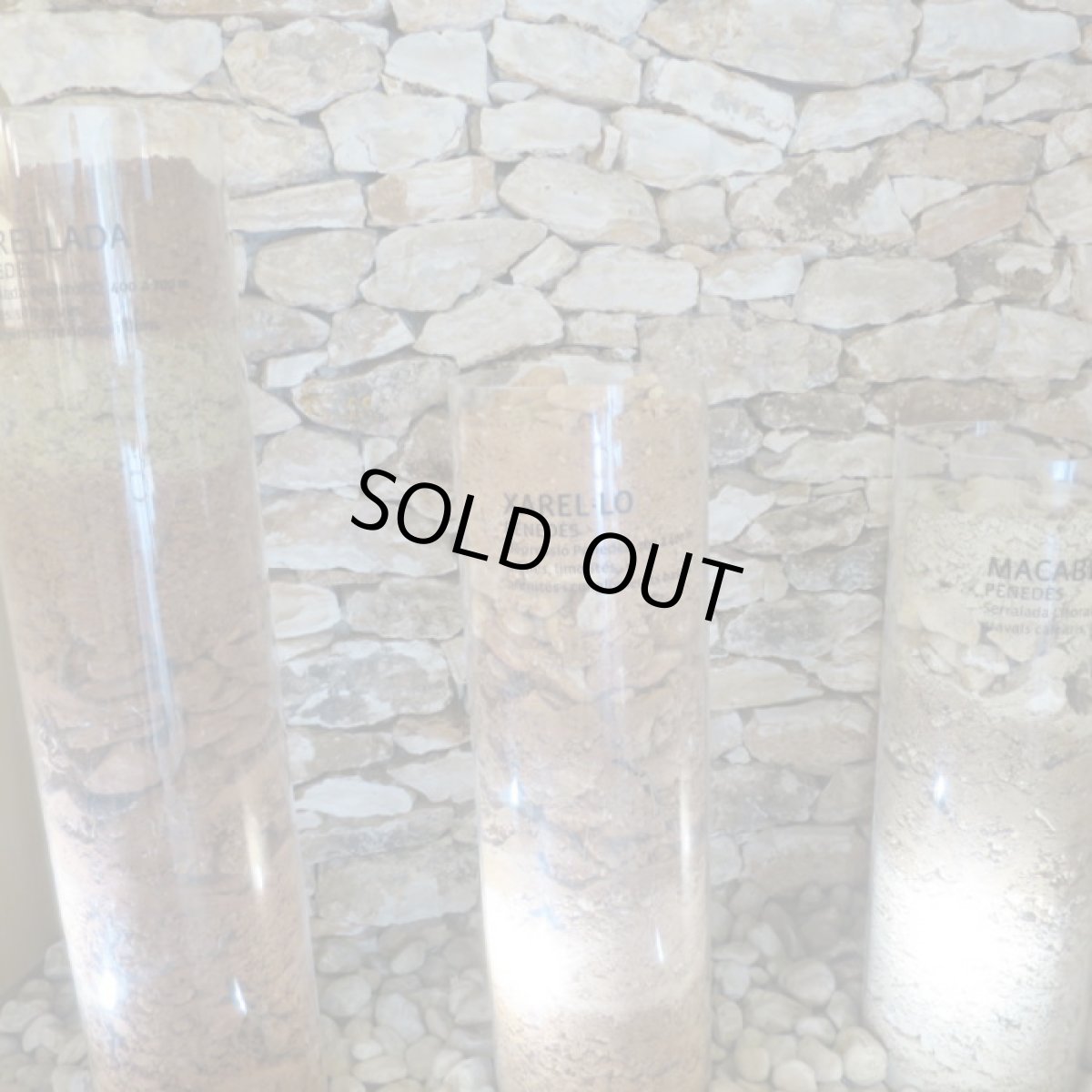 画像6: チック(白ワイン スペイン  アグスティ・トレーリョ) (6)