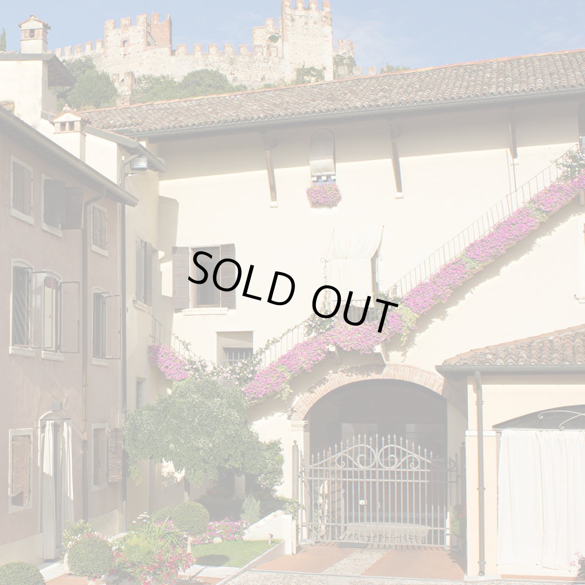 画像3: ソアーヴェ クラッシコ （白ワイン イタリア　ピエロパン） (3)