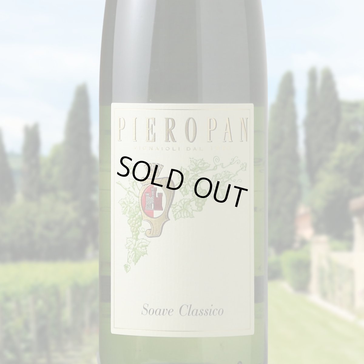 画像1: ソアーヴェ クラッシコ （白ワイン イタリア　ピエロパン） (1)