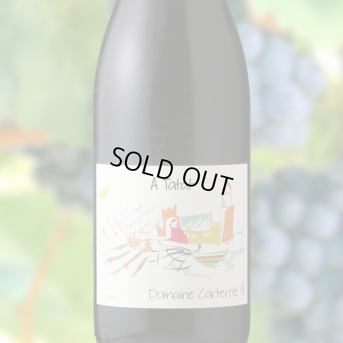 画像1: エスペランサ ルージュ（赤ワイン ラングドック　ドメーヌ・カルテロル） (1)