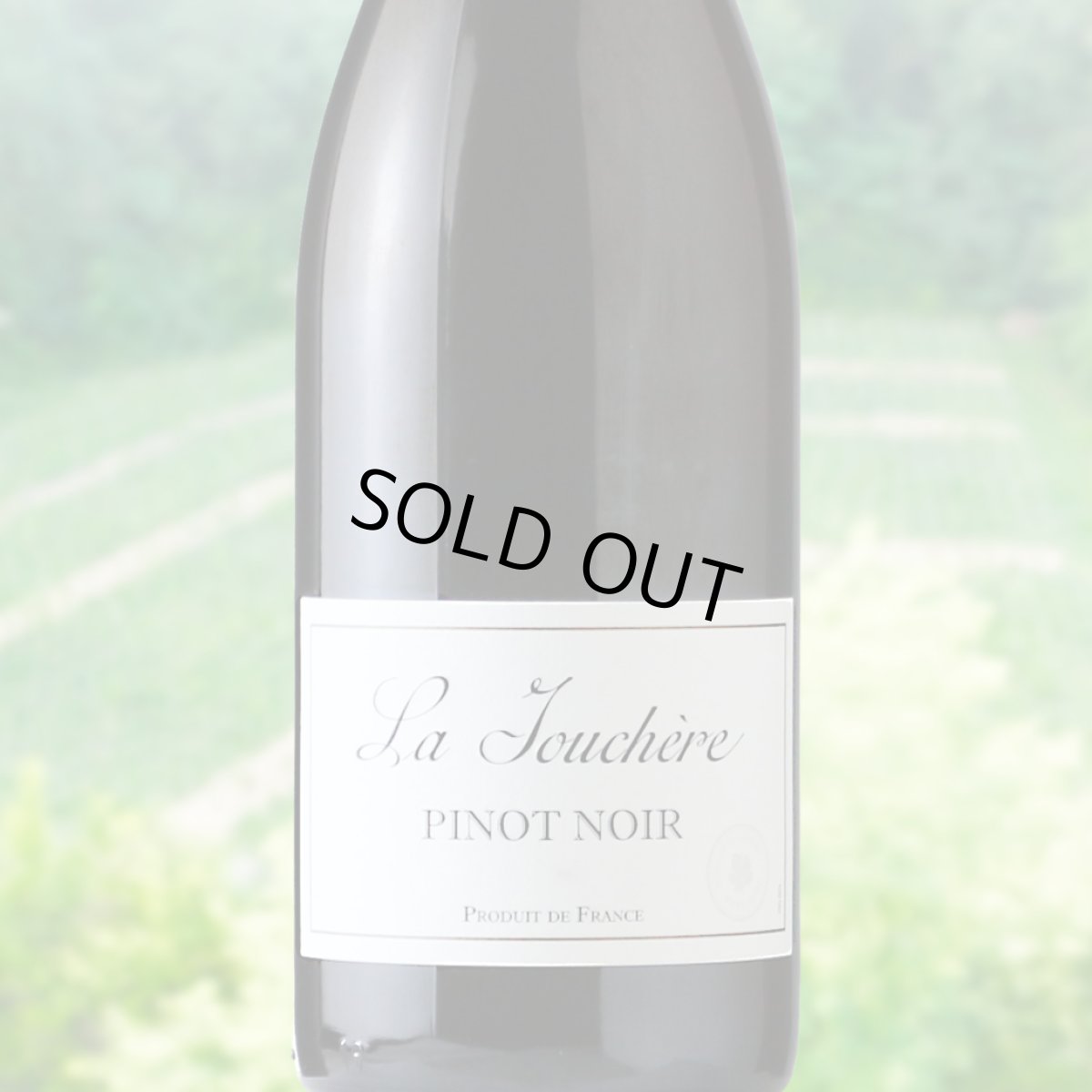 画像1: ラ・ジュシェール　ピノ・ノワール（赤ワイン ラングドック・ルーション　アドヴィニ） (1)