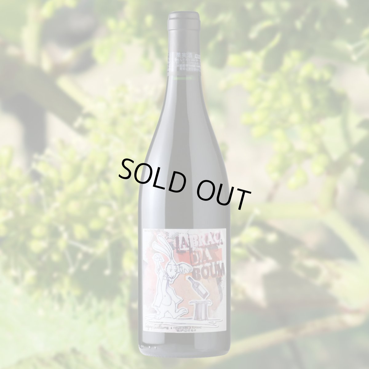 画像3: アブラカダブン（赤ワイン フランス コート・デュ・ローヌ　グレゴリー・ギョーム） (3)