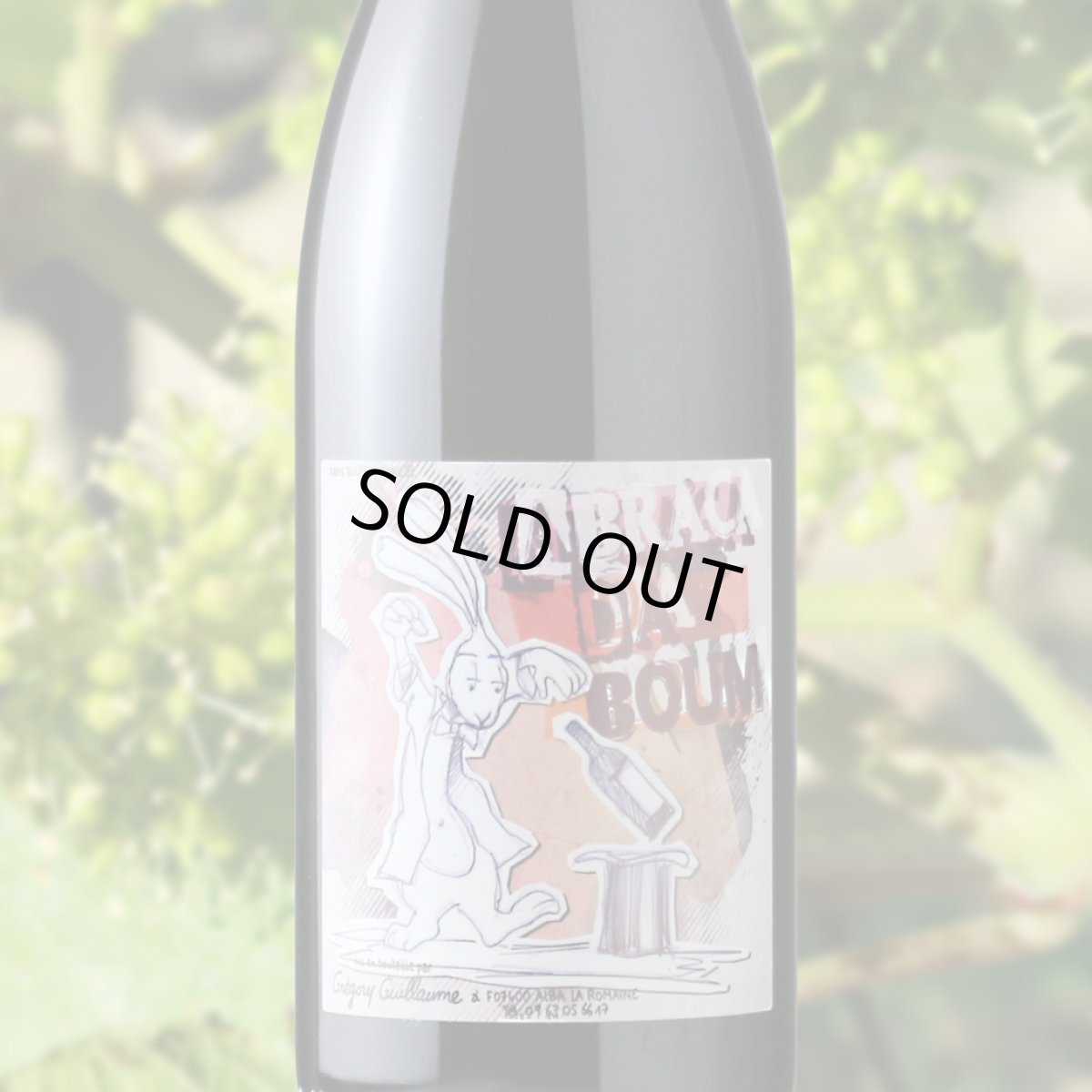 画像1: アブラカダブン（赤ワイン フランス コート・デュ・ローヌ　グレゴリー・ギョーム） (1)