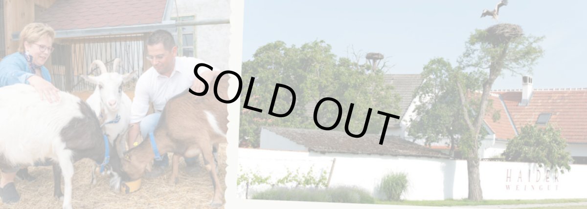 画像6: ヘイダー デリリアス(オレンジワイン オーストリア ヘイダー) (6)