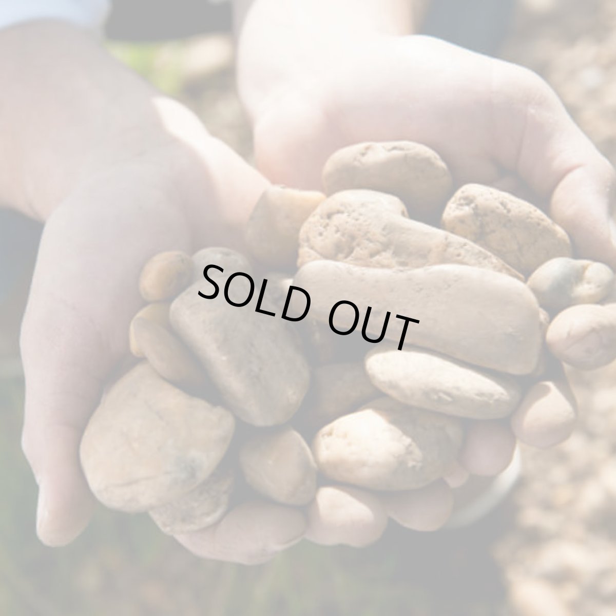 画像4: ヘイダー デリリアス(オレンジワイン オーストリア ヘイダー) (4)