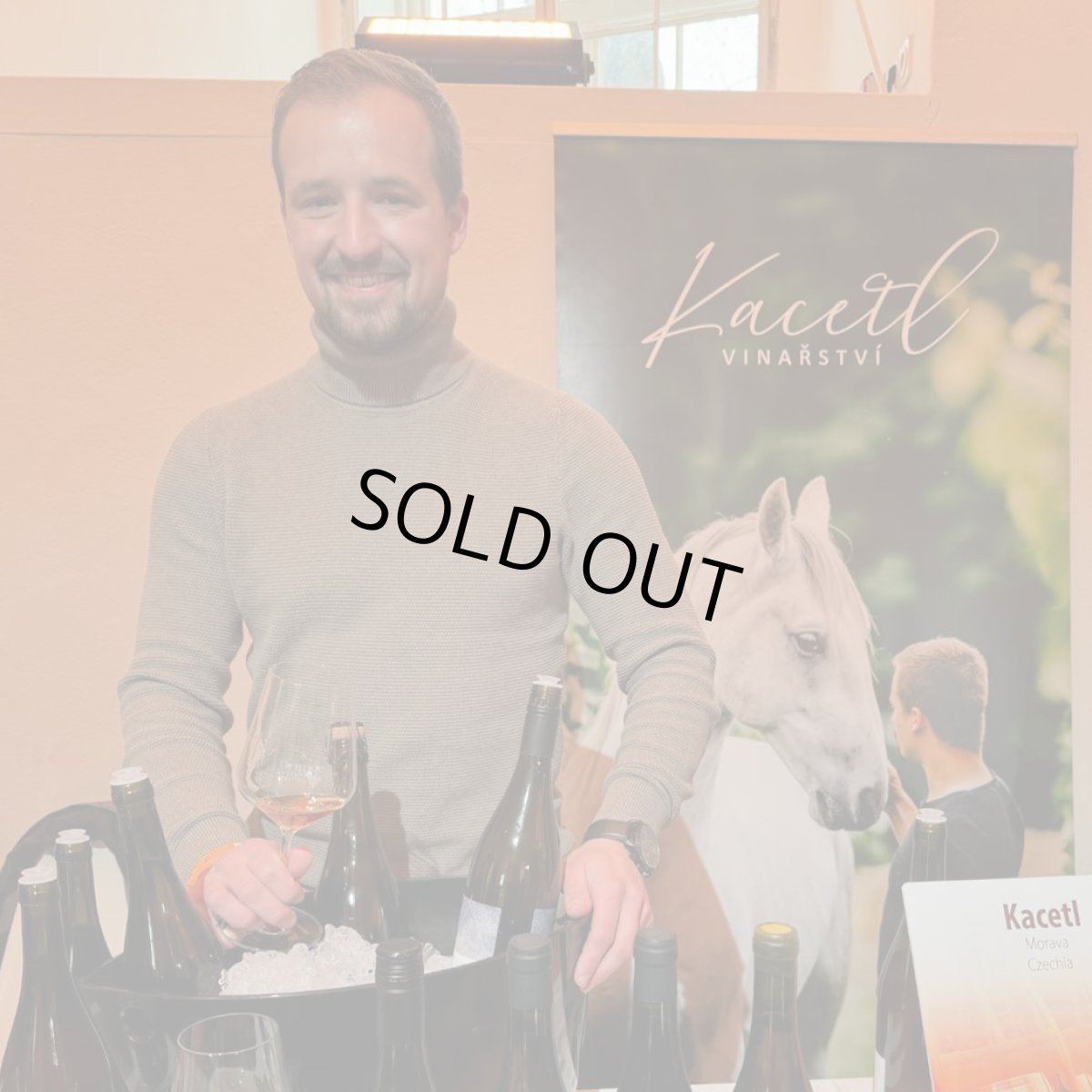 画像4: カセトル シャルドネ(白ワイン チェコ カセトル) (4)