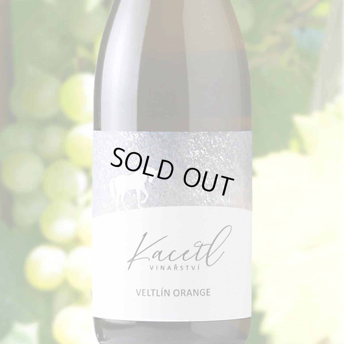 画像1: カセトル　ヴェルトリン オレンジ（オレンジワイン チェコ　カセトル） (1)