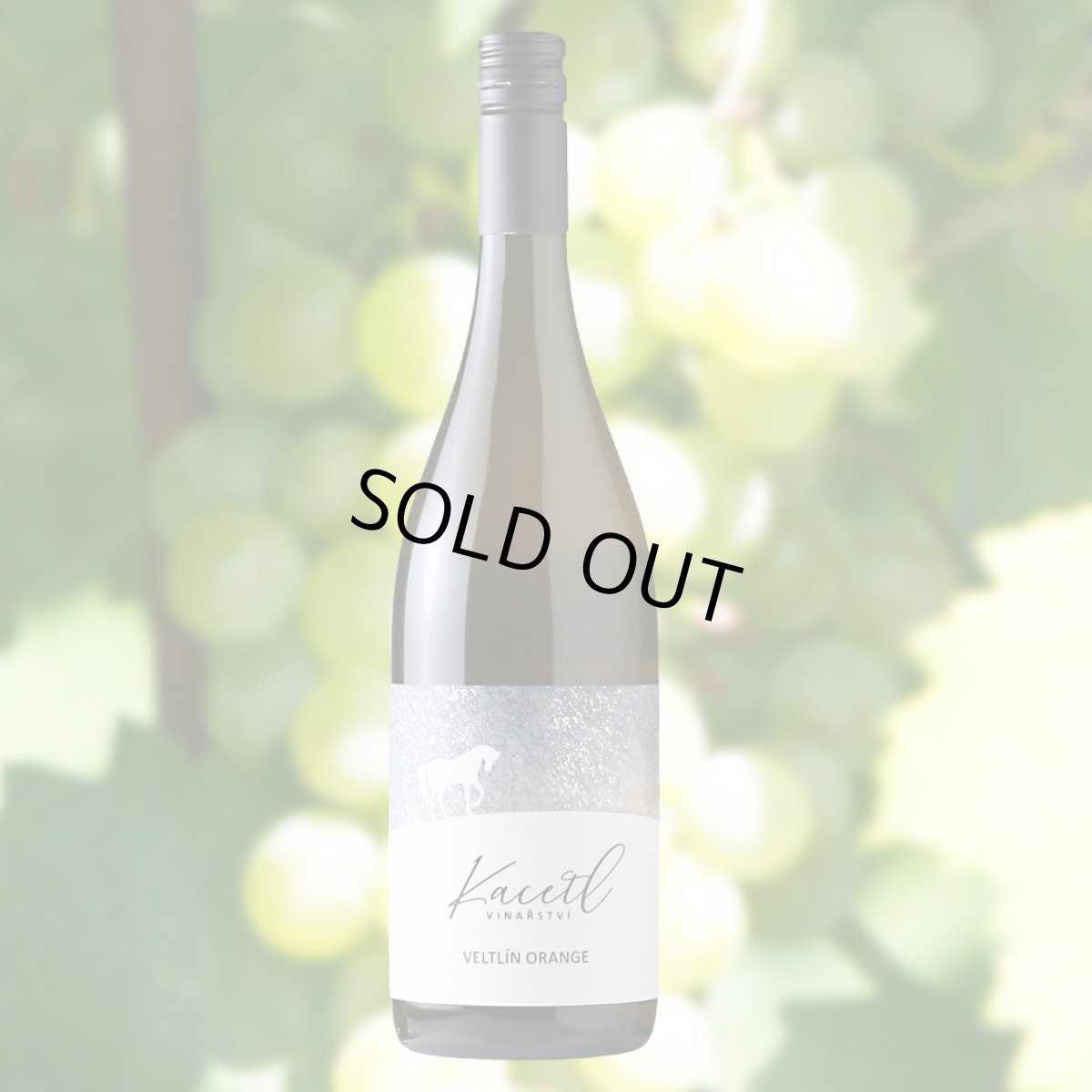 画像8: カセトル　ヴェルトリン オレンジ（オレンジワイン チェコ　カセトル） (8)