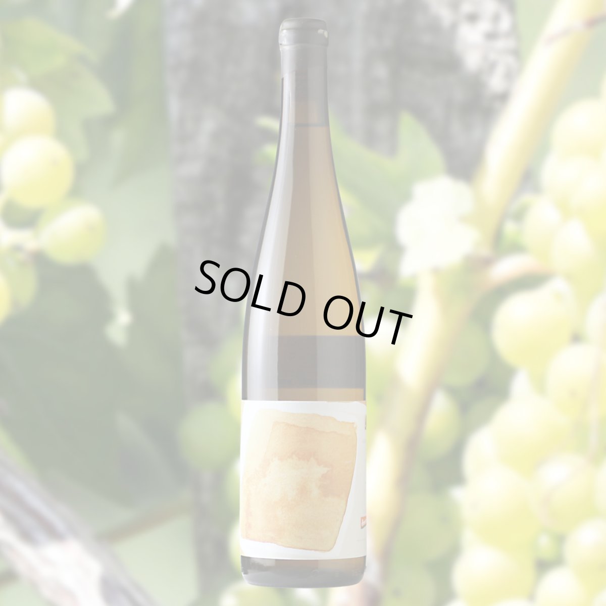 画像5: カルボニック・ゲルバー・ムスカテラー （白ワイン オーストリア　ニビル） (5)