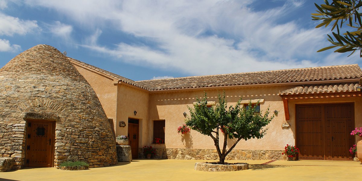 画像4: ティナクラ・エキス（赤ワイン スペイン　ボデーガ・ラス・カルサダス） (4)