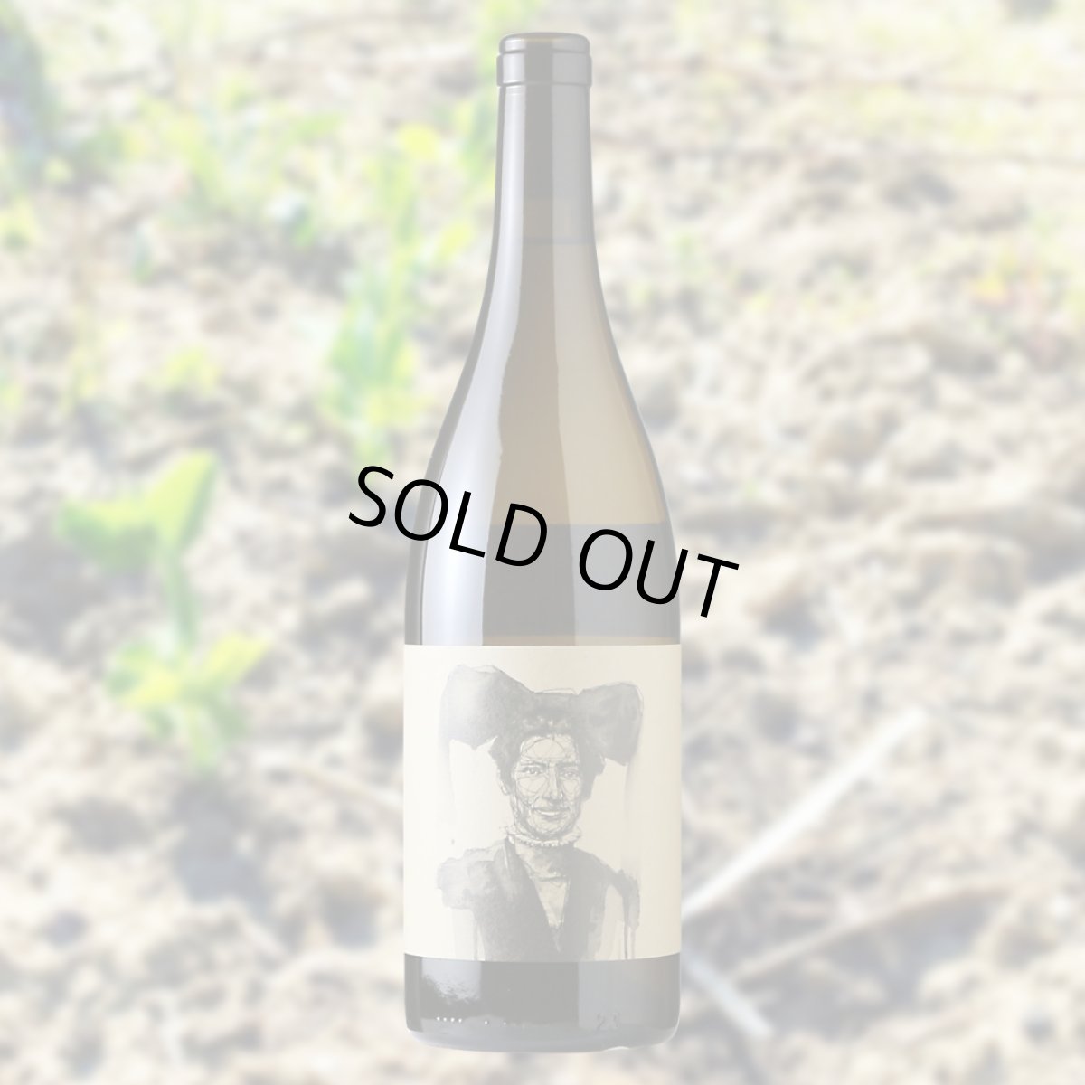 画像3: ヴァイングート ウィラー ムスカテラー （白ワイン ドイツ バーデン　ヴァイングート・ウィラー） (3)