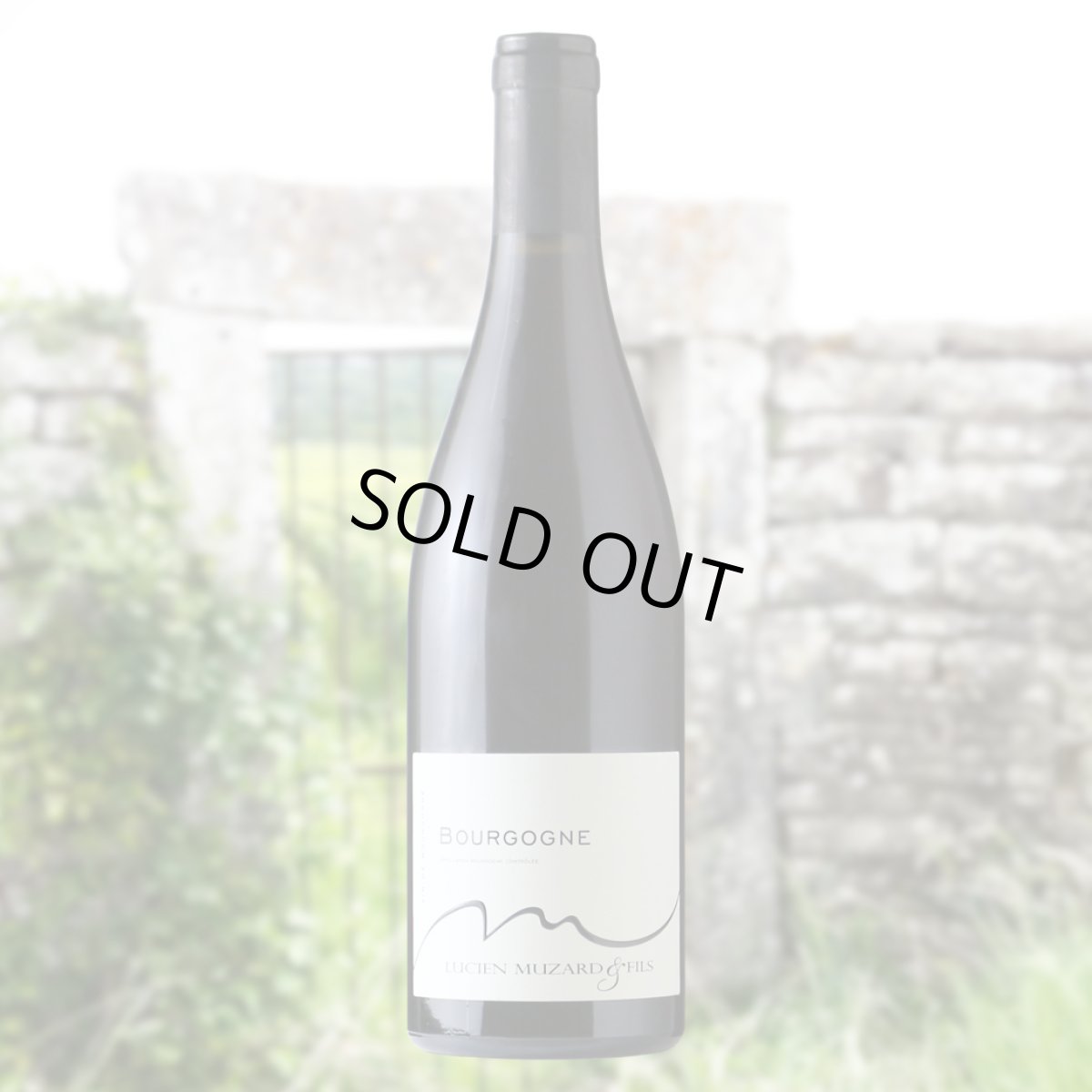 画像3: リュシアン・ミュザール・ブルゴーニュ・ルージュ（赤ワイン フランス ブルゴーニュ　リュシアン・ミュザール） (3)