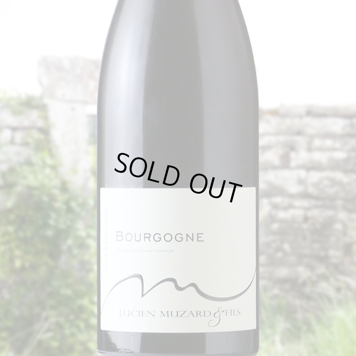 画像1: リュシアン・ミュザール・ブルゴーニュ・ルージュ（赤ワイン フランス ブルゴーニュ　リュシアン・ミュザール） (1)