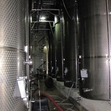 画像5: モンテプルチャーノ ダブルッツォ コッリーネ テラマーネ(赤ワイン イタリア  アブルッツォ ファンティーニ) (5)