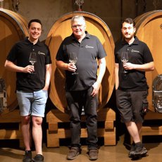 画像7: レゲント プティ チエ(赤ワイン ドイツ ファルツ ヴァイングート ベルンハルト コッホ) (7)