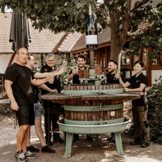 画像5: レゲント プティ チエ(赤ワイン ドイツ ファルツ ヴァイングート ベルンハルト コッホ) (5)