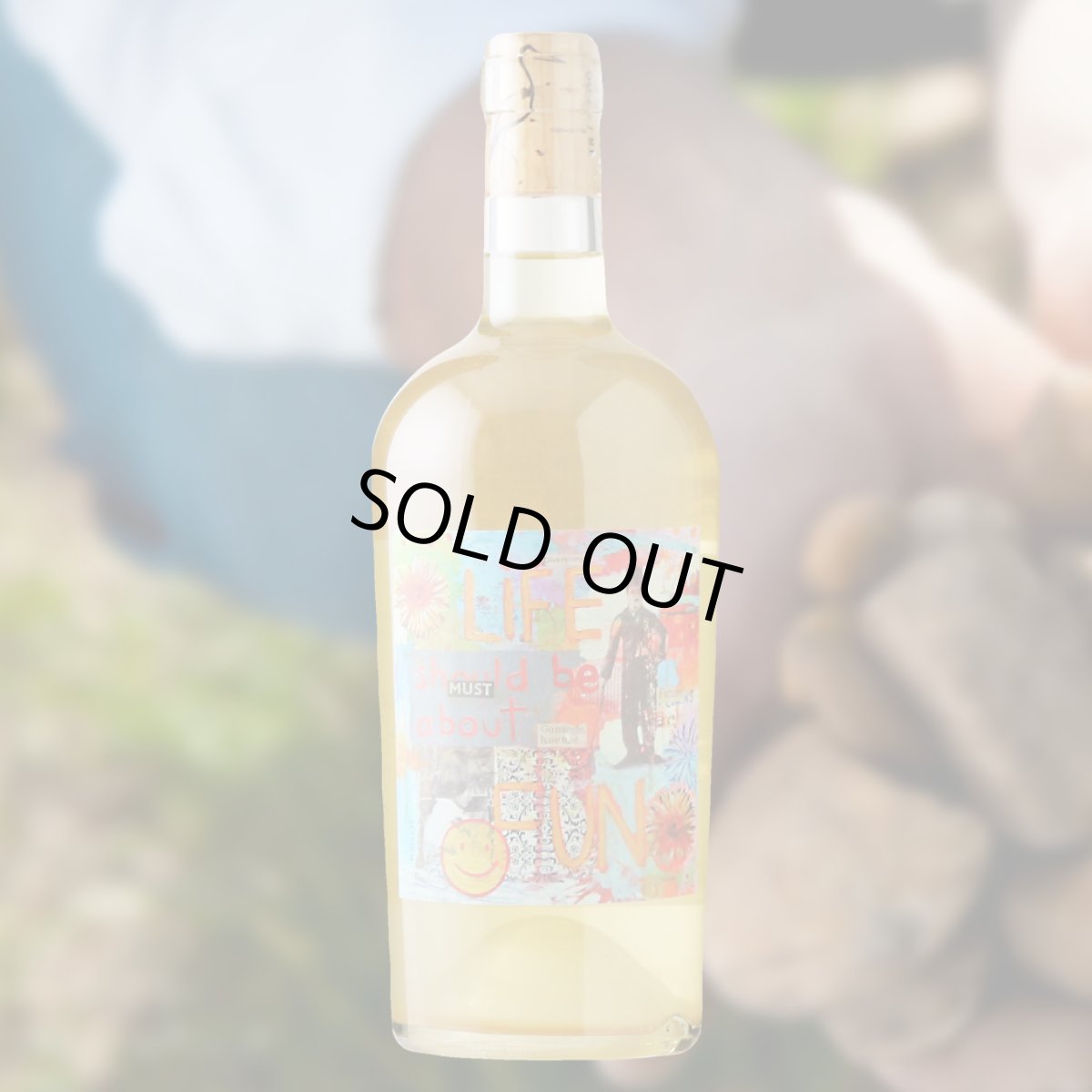 画像3: ヘイダー・ライフ・シュドゥ・ビーアバウト・ファン（オレンジワイン オーストリア　ヘイダー） (3)