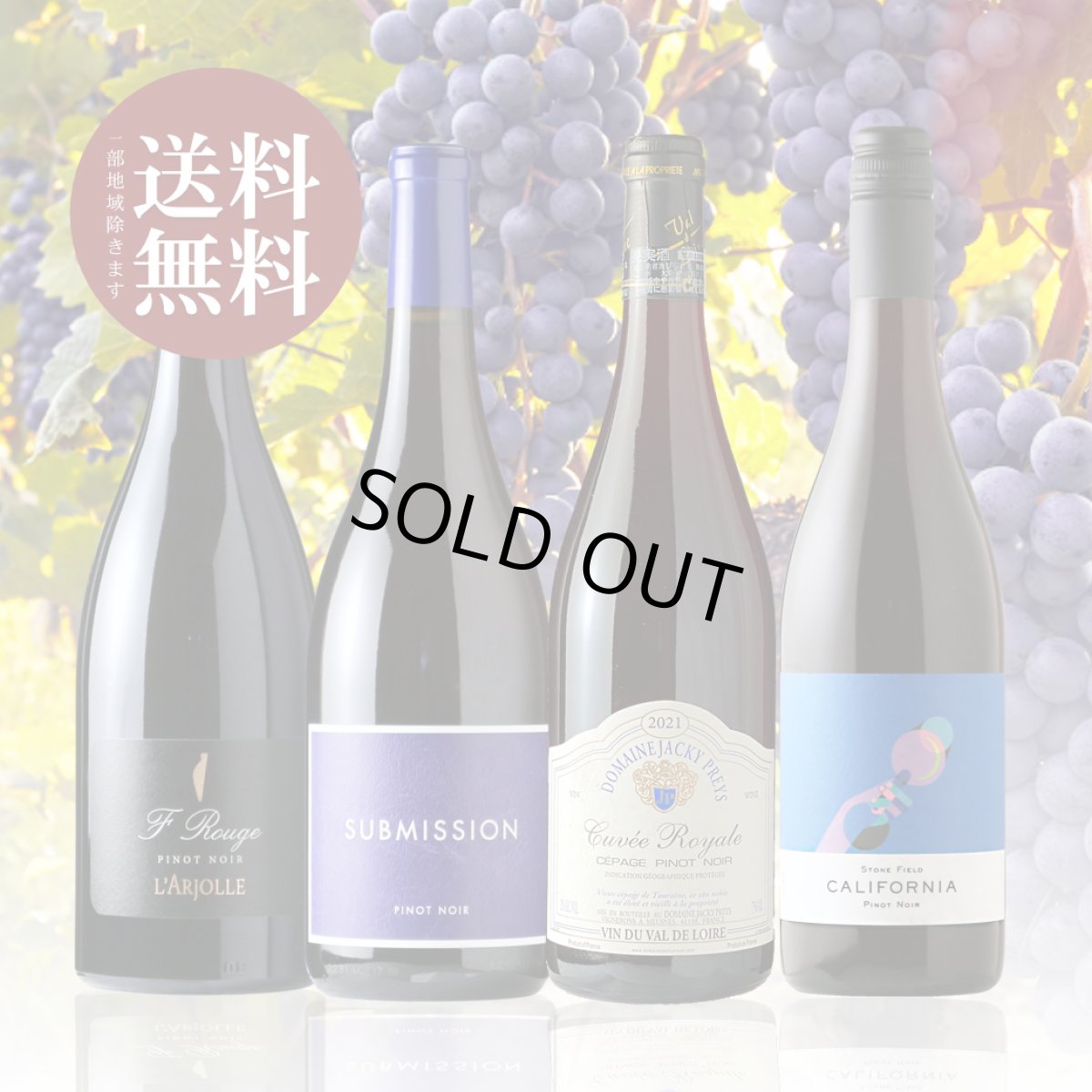 画像1: みんな大好きピノ ノワール４本セット（赤ワイン4本 750ml 送料無料 北海道、沖縄は1個口につき送料950円） (1)