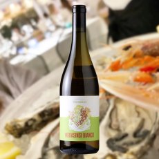 画像3: モラシンシ ビアンコ(白ワイン イタリア モラシンシ) (3)