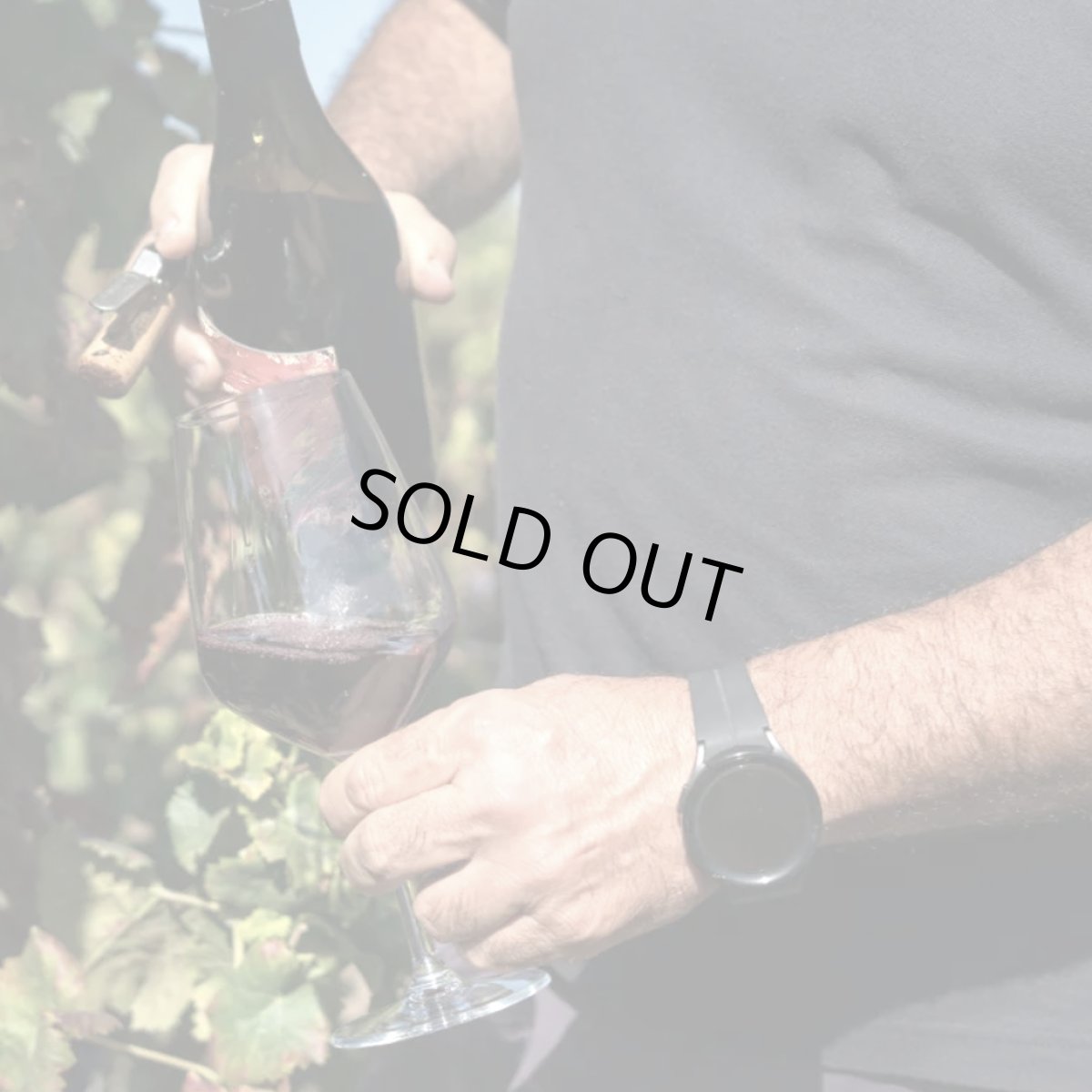 画像6: ヌラグス  ディ カリアリ（白ワイン イタリア　カンティーネディヴェルセディモンセッラート） (6)