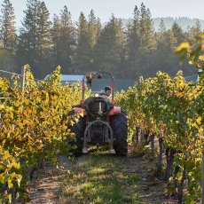 画像4: フォリス ピノ ノワール ログ ヴァレー(赤ワイン アメリカ オレゴン フォリス・ヴィンヤーズ) (4)