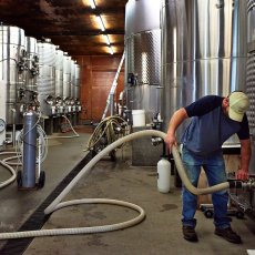 画像5: フォリス ピノ ノワール ログ ヴァレー(赤ワイン アメリカ オレゴン フォリス・ヴィンヤーズ) (5)