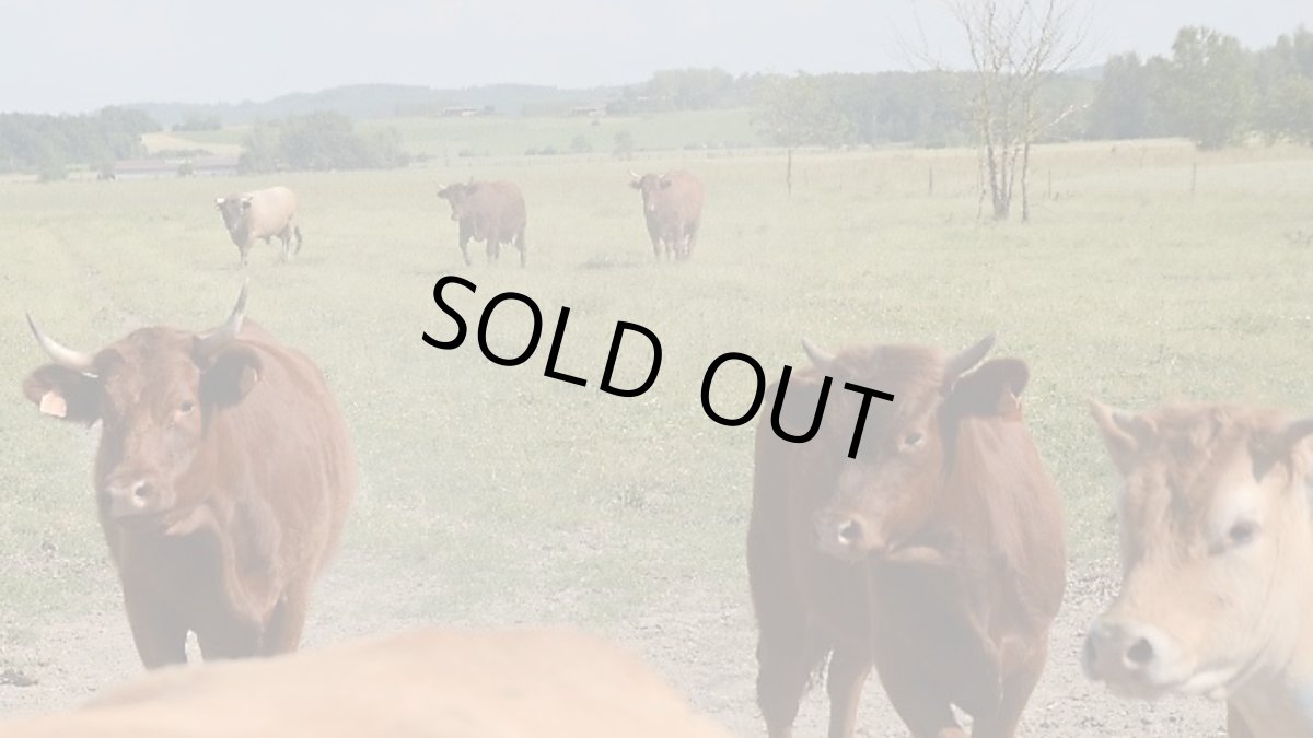 画像5: ボンヌ キーユ（赤ワイン  フランス シュド・ウエスト　ボワ・モワセ） (5)