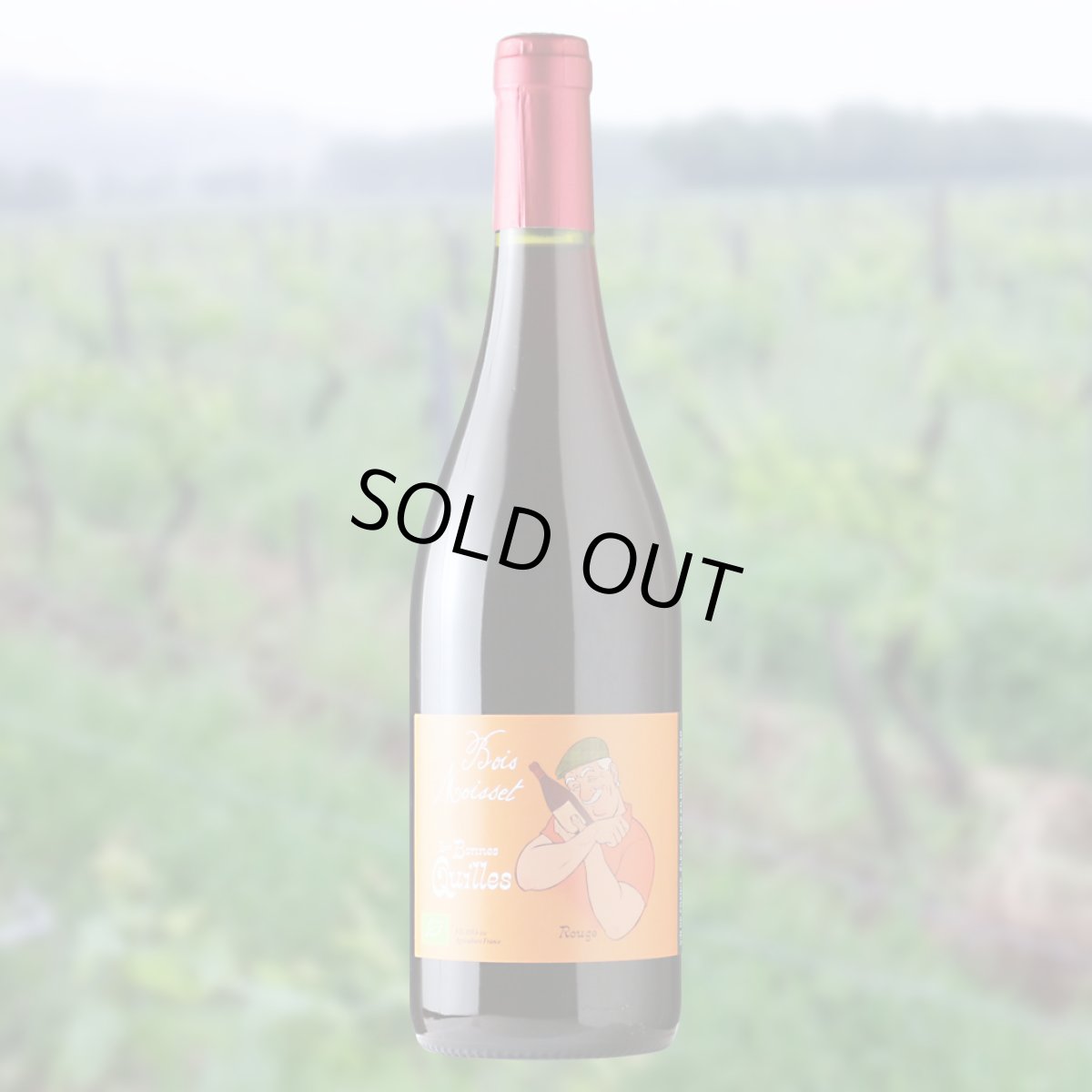 画像3: ボンヌ キーユ（赤ワイン  フランス シュド・ウエスト　ボワ・モワセ） (3)